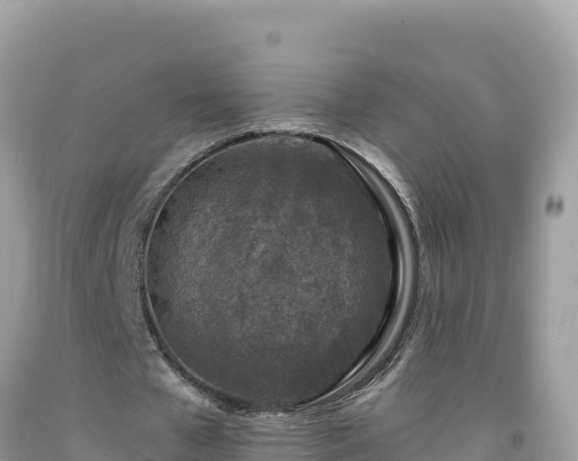 X0000092030577200709131621