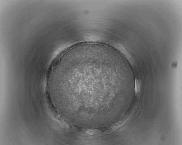 X0000092030579200709131621