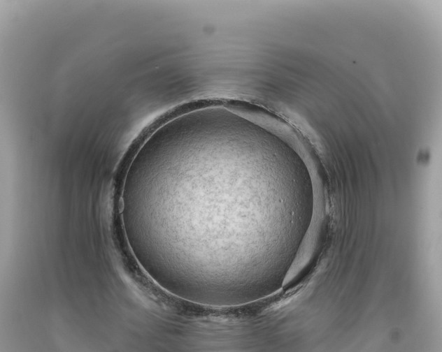 X0000092030580200709131621
