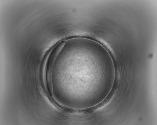 X0000092030581200709131621