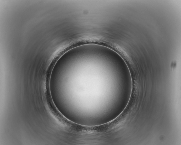 X0000092030582200709131621