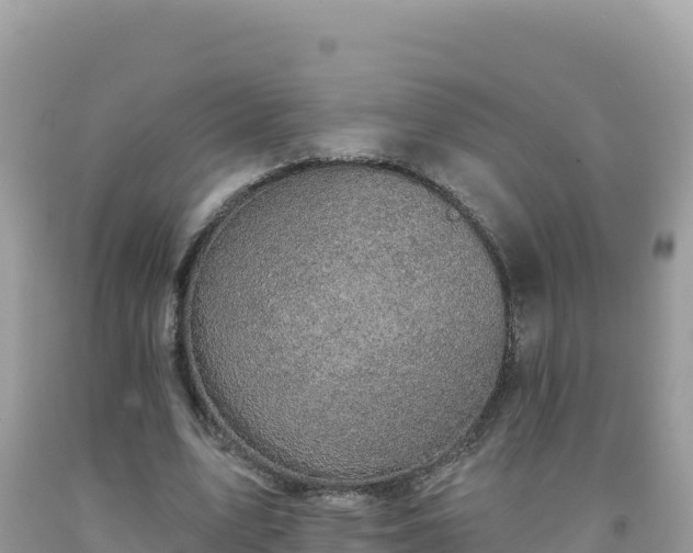 X0000092030583200709131621