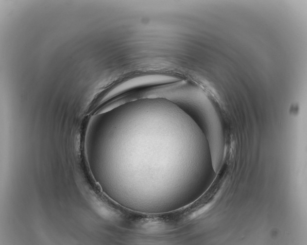 X0000092030589200709131621