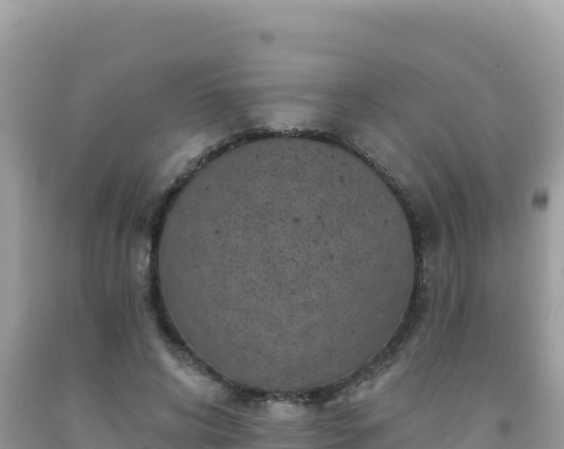 X0000092030592200709131621