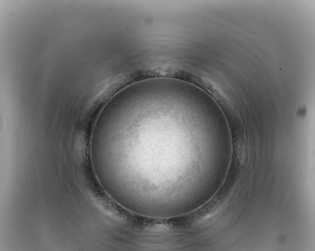 X0000092030594200709131621