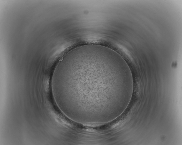 X0000092030596200709131621