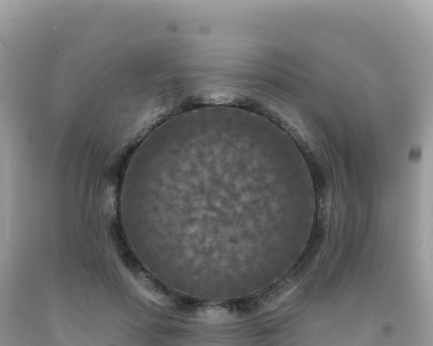 X0000092030598200709131621