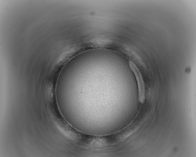 X0000092030599200709131621
