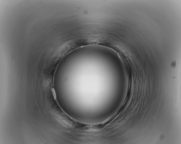 X0000092030601200709131621