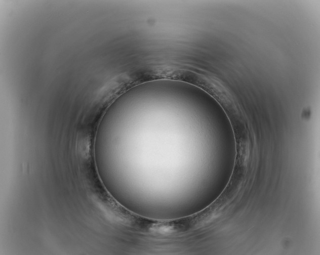 X0000092030602200709131621