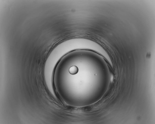 X0000092030604200709131621