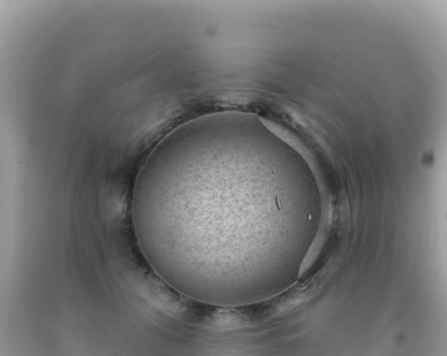 X0000092030608200709131620
