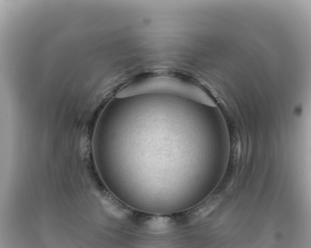 X0000092030609200709131620