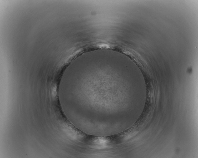 X0000092030610200709131620