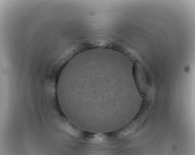 X0000092030612200709131620