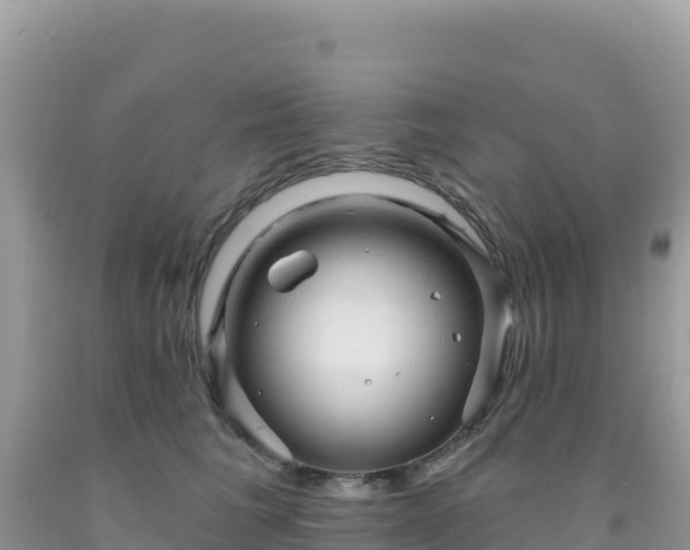 X0000092030613200709131620