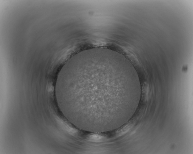 X0000092030614200709131620