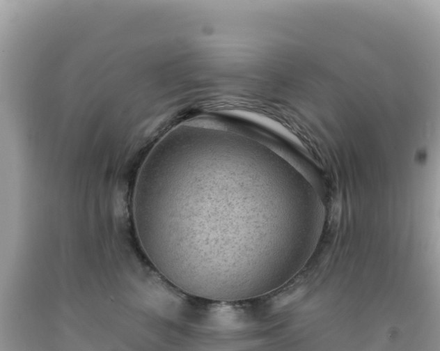 X0000092030616200709131620