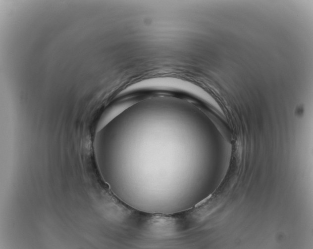 X0000092030617200709131620