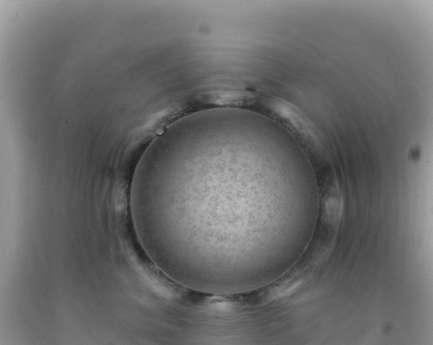 X0000092030620200709131620