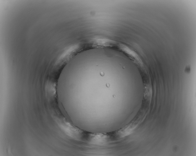 X0000092030621200709131620