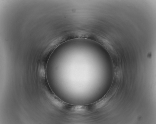 X0000092030622200709131620