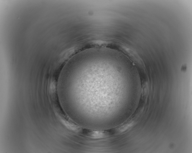 X0000092030623200709131620