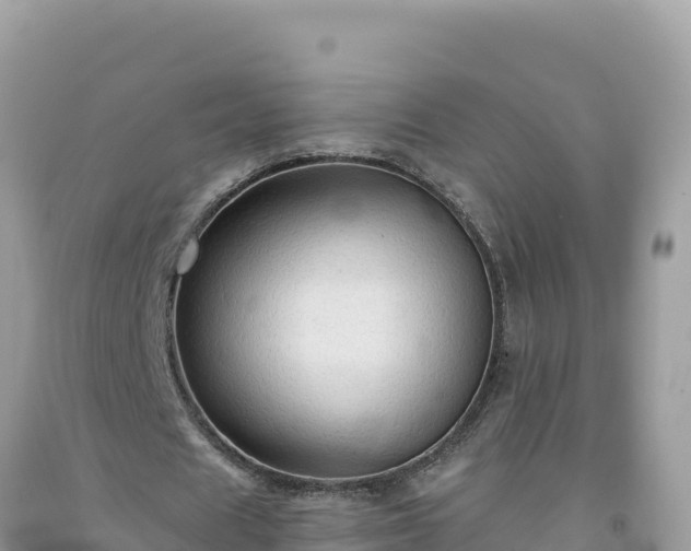 X0000092030625200709131620