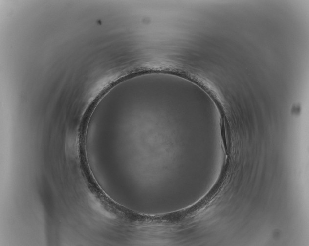 X0000092030626200709131620
