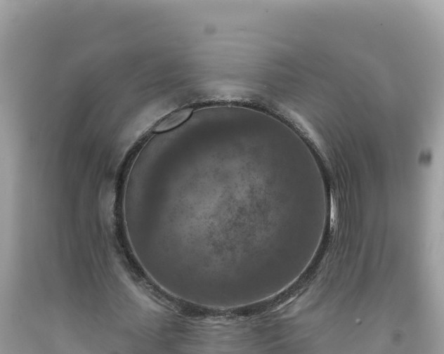 X0000092030627200709131620