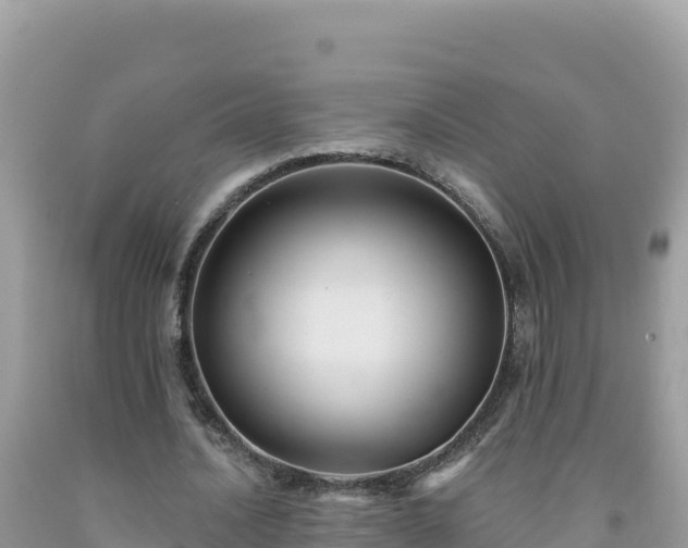 X0000092030628200709131620