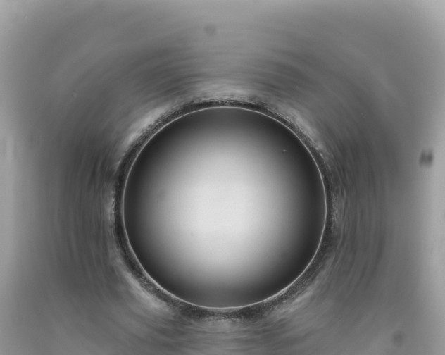 X0000092030629200709131620