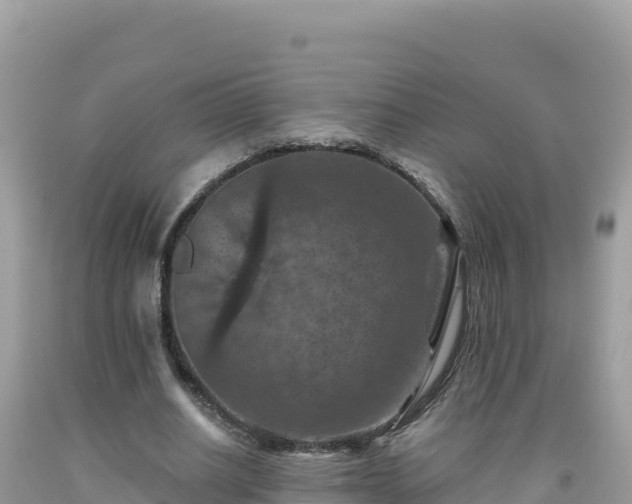 X0000092030630200709131620