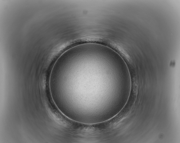 X0000092030631200709131620