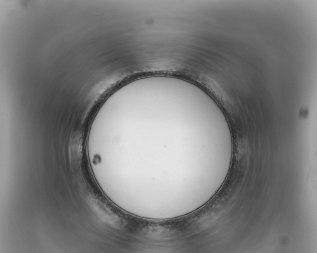 X0000092030632200709131620