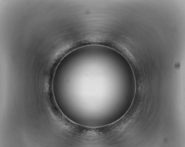 X0000092030635200709131620