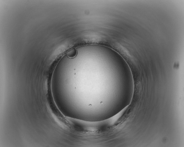 X0000092030638200709131620