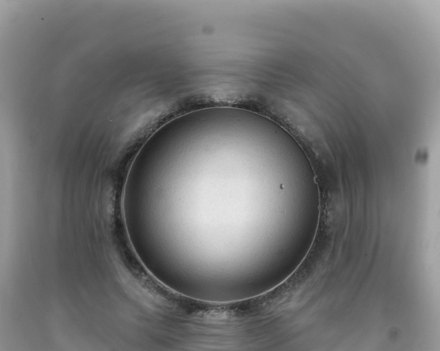 X0000092030639200709131620
