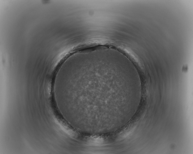 X0000092030640200709131620