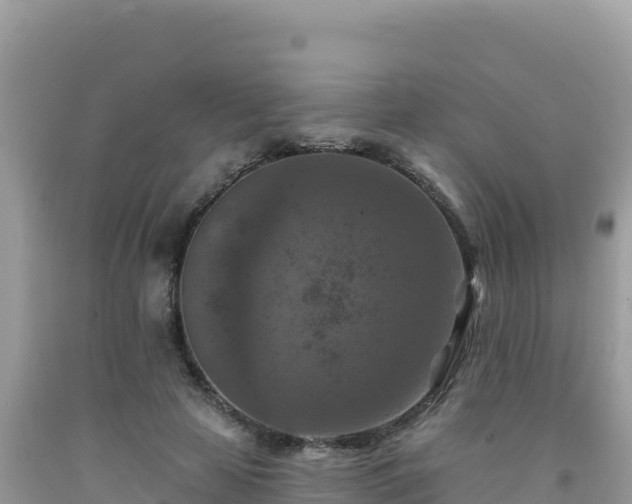 X0000092030641200709131620