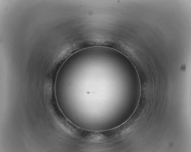 X0000092030642200709131620