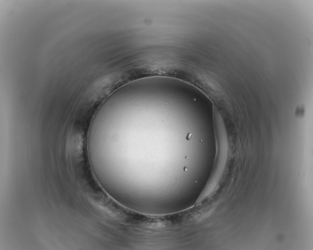 X0000092030646200709131620