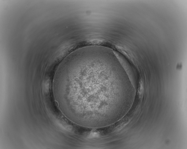 X0000092030647200709131620