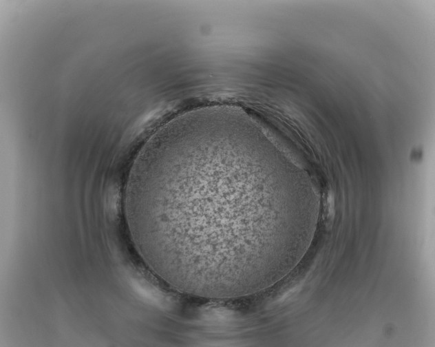 X0000092030648200709131620