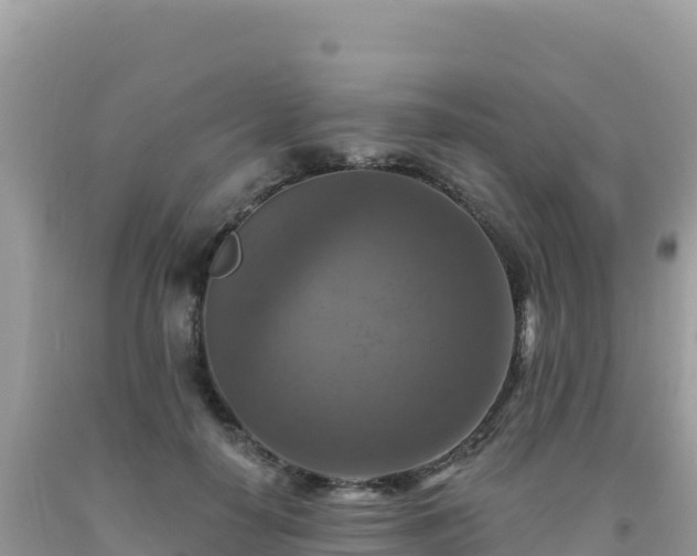 X0000092030650200709131620