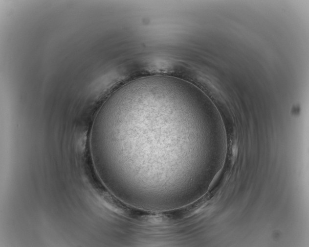 X0000092030652200709131620