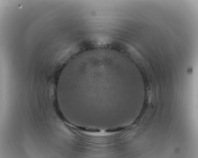 X0000092030654200709131620