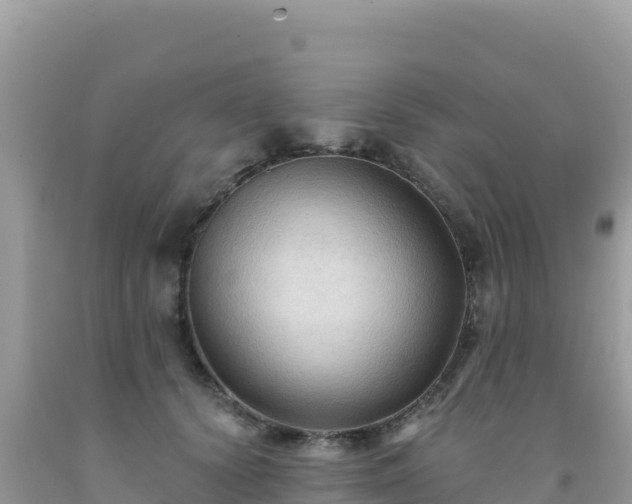 X0000092030656200709131620