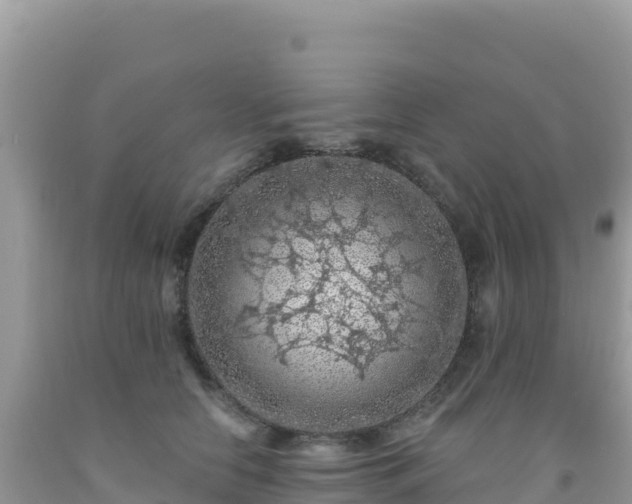 X0000092030658200709131620