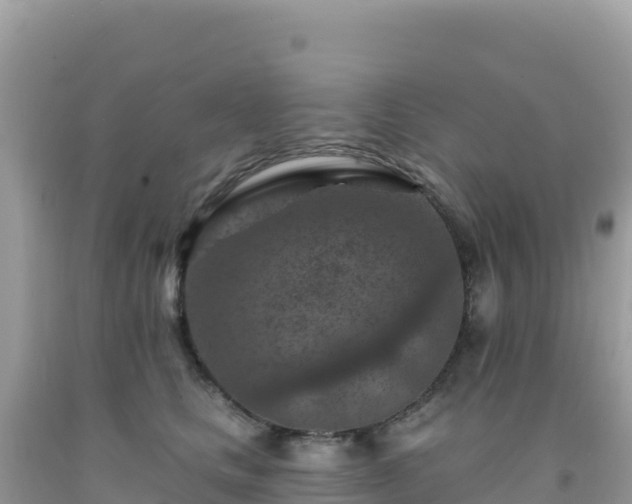 X0000092030661200709131620